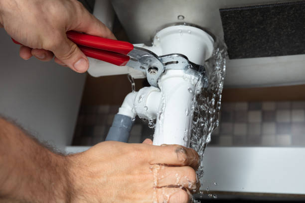 Best Flood restoration services  in Brazil, IN