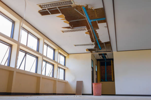  Brazil, IN Water damage restoration Pros
