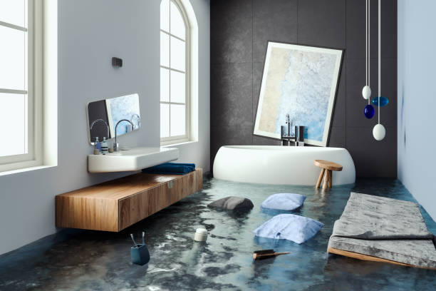 Best Water damage cleanup near me  in Brazil, IN