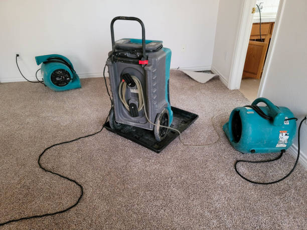 Best Mold removal after water damage  in Brazil, IN