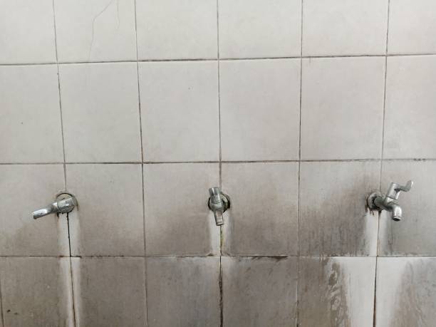 Best Water damage restoration process  in Brazil, IN