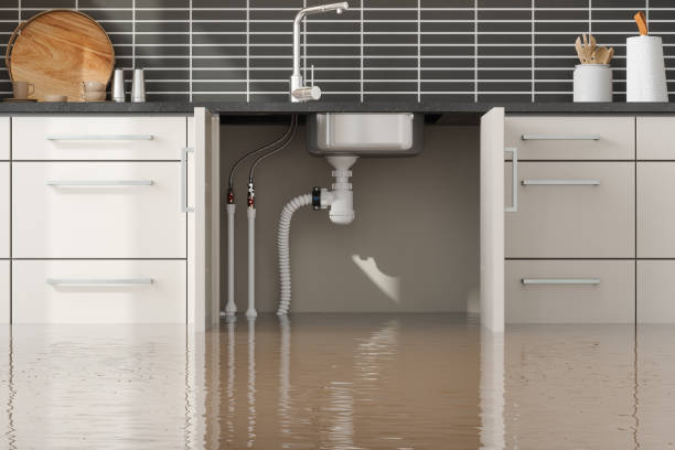 Best Professional water damage repair  in Brazil, IN