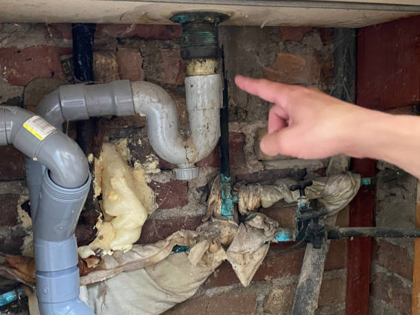 Best Sewage cleanup and water damage restoration  in Brazil, IN