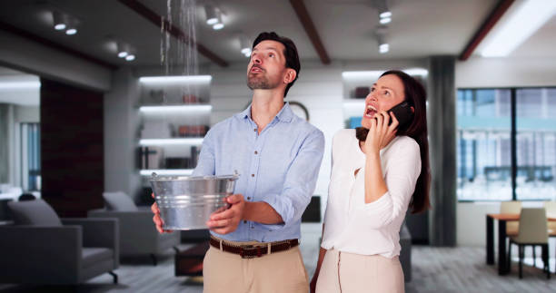 Best 24-hour water damage restoration  in Brazil, IN